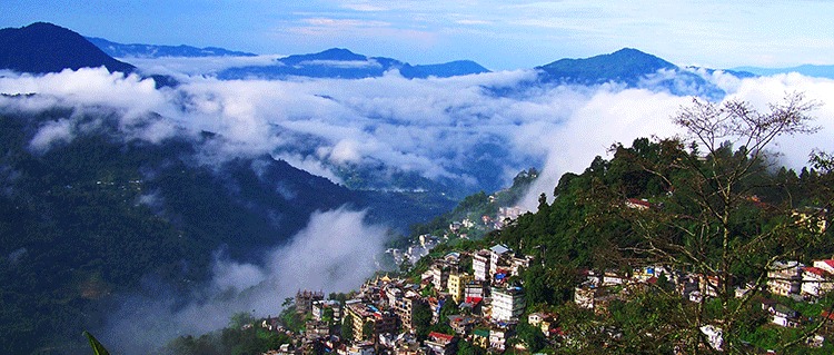 Darjeeling Area
