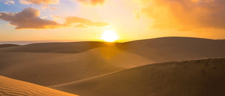 desert sunset in Rajasthan
